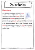 Vorschau - Unterrichtsreihen - Polarfuchs Lückentext mit Wortspeicher Hörverstehen und Suchsel - Seite 2