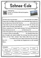 Vorschau - Unterrichtsreihen - Schnee-Eule Lückentext mit Wortspeicher Hörverstehen und Suchsel - Seite 1