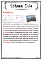 Vorschau - Unterrichtsreihen - Schnee-Eule Lückentext mit Wortspeicher Hörverstehen und Suchsel - Seite 2