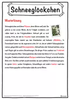 Vorschau - Unterrichtsreihen - Schneeglöckchen Lückentext mit Wortspeicher Hörverstehen und Suchsel - Seite 2