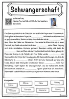 Vorschau - Unterrichtsreihen - Schwangerschaft Lückentext mit Wortspeicher Hörverstehen und Suchsel - Seite 1