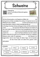 Vorschau - Unterrichtsreihen - Schweine Lückentext mit Wortspeicher Hörverstehen und Suchsel - Seite 1