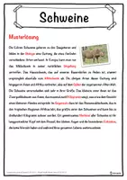 Vorschau - Unterrichtsreihen - Schweine Lückentext mit Wortspeicher Hörverstehen und Suchsel - Seite 2