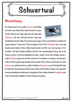 Vorschau - Unterrichtsreihen - Schwertwal Lückentext mit Wortspeicher Hörverstehen und Suchsel - Seite 2