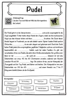 Vorschau - Unterrichtsreihen - Pudel Lückentext mit Wortspeicher Hörverstehen und Suchsel - Seite 1