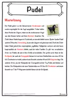 Vorschau - Unterrichtsreihen - Pudel Lückentext mit Wortspeicher Hörverstehen und Suchsel - Seite 2