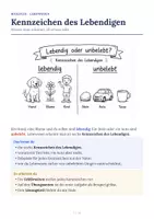 Vorschau - Arbeitsblätter - Kennzeichen des Lebendigen - Arbeitsheft - Seite 1