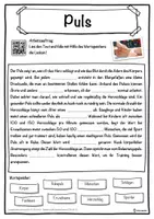 Vorschau - Unterrichtsreihen - Puls Lückentext mit Wortspeicher Hörverstehen und Suchsel - Seite 1