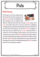 Vorschau - Unterrichtsreihen - Puls Lückentext mit Wortspeicher Hörverstehen und Suchsel - Seite 2