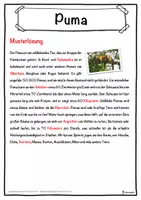 Vorschau - Unterrichtsreihen - Puma Lückentext mit Wortspeicher Hörverstehen und Suchsel - Seite 2