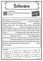 Vorschau - Unterrichtsreihen - Schwäne Lückentext mit Wortspeicher Hörverstehen und Suchsel - Seite 1