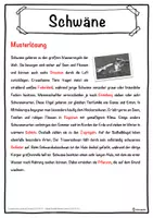 Vorschau - Unterrichtsreihen - Schwäne Lückentext mit Wortspeicher Hörverstehen und Suchsel - Seite 2