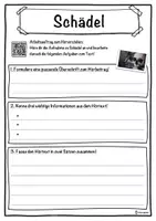 Vorschau - Unterrichtsreihen - Schädel Lückentext mit Wortspeicher Hörverstehen und Suchsel - Seite 3