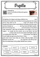 Vorschau - Unterrichtsreihen - Pupille Lückentext mit Wortspeicher Hörverstehen und Suchsel - Seite 1