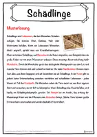 Vorschau - Unterrichtsreihen - Schädlinge Lückentext mit Wortspeicher Hörverstehen und Suchsel - Seite 2