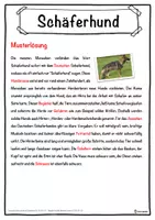 Vorschau - Unterrichtsreihen - Schäferhund Lückentext mit Wortspeicher Hörverstehen und Suchsel - Seite 2