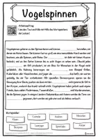 Vorschau - Unterrichtsreihen - Vogelspinnen Lückentext mit Wortspeicher Hörverstehen und Suchsel - Seite 1