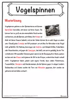 Vorschau - Unterrichtsreihen - Vogelspinnen Lückentext mit Wortspeicher Hörverstehen und Suchsel - Seite 2