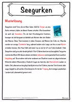 Vorschau - Unterrichtsreihen - Seegurken Lückentext mit Wortspeicher Hörverstehen und Suchsel - Seite 2
