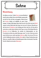 Vorschau - Unterrichtsreihen - Sehne Lückentext mit Wortspeicher Hörverstehen und Suchsel - Seite 2