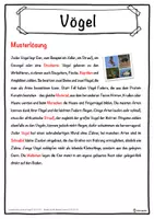 Vorschau - Unterrichtsreihen - Vögel Lückentext mit Wortspeicher Hörverstehen und Suchsel - Seite 2