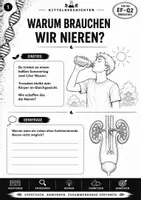 Vorschau - Stundenentwürfe - Nieren&Ausscheidungssysteme | Biologie Oberstufe EF-Q2 - Seite 2