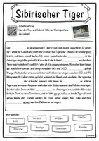 Vorschau - Unterrichtsreihen - Sibirischer Tiger Lückentext mit Wortspeicher Hörverstehen und Suchsel - Seite 1