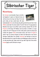 Vorschau - Unterrichtsreihen - Sibirischer Tiger Lückentext mit Wortspeicher Hörverstehen und Suchsel - Seite 2