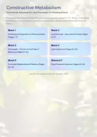 Vorschau - Unterrichtsreihen - Photosynthesis and Metabolic Pathways | Leaf Structure, Chloroplasts & Calvin Cycle | High School Biology - Seite 1