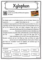 Vorschau - Unterrichtsreihen - Xylophon Lückentext mit Wortspeicher Hörverstehen und Suchsel - Seite 1