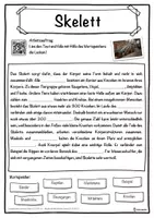Vorschau - Unterrichtsreihen - Skelett Lückentext mit Wortspeicher Hörverstehen und Suchsel - Seite 1