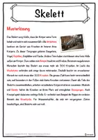 Vorschau - Unterrichtsreihen - Skelett Lückentext mit Wortspeicher Hörverstehen und Suchsel - Seite 2