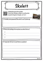 Vorschau - Unterrichtsreihen - Skelett Lückentext mit Wortspeicher Hörverstehen und Suchsel - Seite 3