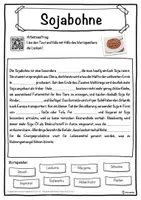 Vorschau - Unterrichtsreihen - Sojabohne Lückentext mit Wortspeicher Hörverstehen und Suchsel - Seite 1