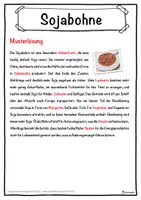 Vorschau - Unterrichtsreihen - Sojabohne Lückentext mit Wortspeicher Hörverstehen und Suchsel - Seite 2