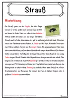 Vorschau - Unterrichtsreihen - Strauß Lückentext mit Wortspeicher Hörverstehen und Suchsel - Seite 2