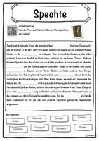 Vorschau - Unterrichtsreihen - Spechte Lückentext mit Wortspeicher Hörverstehen und Suchsel - Seite 1