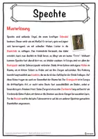 Vorschau - Unterrichtsreihen - Spechte Lückentext mit Wortspeicher Hörverstehen und Suchsel - Seite 2