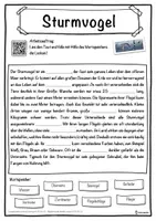Vorschau - Unterrichtsreihen - Sturmvogel Lückentext mit Wortspeicher Hörverstehen und Suchsel - Seite 1