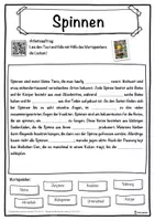 Vorschau - Unterrichtsreihen - Spinnen Lückentext mit Wortspeicher Hörverstehen und Suchsel - Seite 1