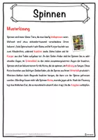 Vorschau - Unterrichtsreihen - Spinnen Lückentext mit Wortspeicher Hörverstehen und Suchsel - Seite 2