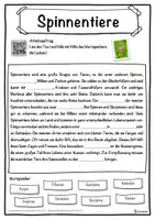 Vorschau - Unterrichtsreihen - Spinnentiere Lückentext mit Wortspeicher Hörverstehen und Suchsel - Seite 1