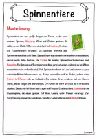 Vorschau - Unterrichtsreihen - Spinnentiere Lückentext mit Wortspeicher Hörverstehen und Suchsel - Seite 2