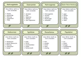 Vorschau - Spiele - Wortjäger Ökologie – 31 Begriffskarten zur spielerischen Wiederholung - Seite 2