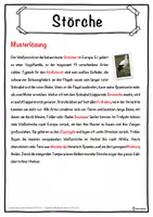 Vorschau - Unterrichtsreihen - Störche Lückentext mit Wortspeicher Hörverstehen und Suchsel - Seite 2