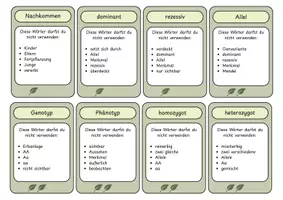 Vorschau - Spiele - Wortjäger Genetik – 31 Begriffskarten zur spielerischen Wiederholung - Seite 2