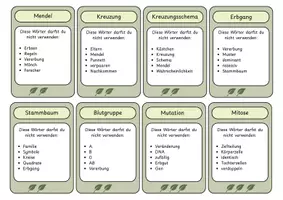 Vorschau - Spiele - Wortjäger Genetik – 31 Begriffskarten zur spielerischen Wiederholung - Seite 3
