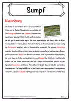 Vorschau - Unterrichtsreihen - Sumpf Lückentext mit Wortspeicher Hörverstehen und Suchsel - Seite 2