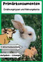 Vorschau - Arbeitsblätter - Primärkonsumenten Ernährungstypen Nahrungskette Unterrichtsmaterial Biologie Ökosystem - Deckblatt