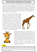 Vorschau - Arbeitsblätter - Primärkonsumenten Ernährungstypen Nahrungskette Unterrichtsmaterial Biologie Ökosystem - Seite 1